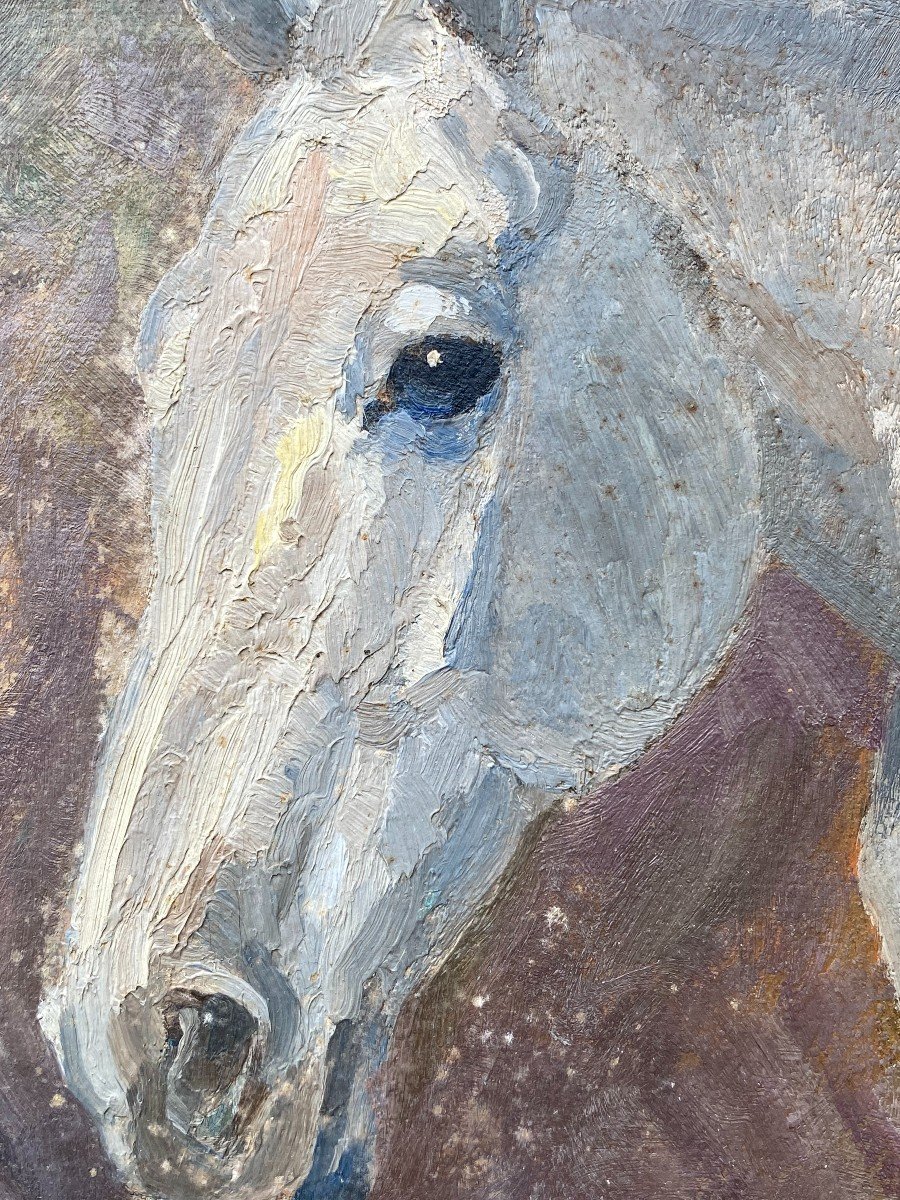 Study Of White Horse & End Of The XIXth Century & Oil On Cardboard-photo-3