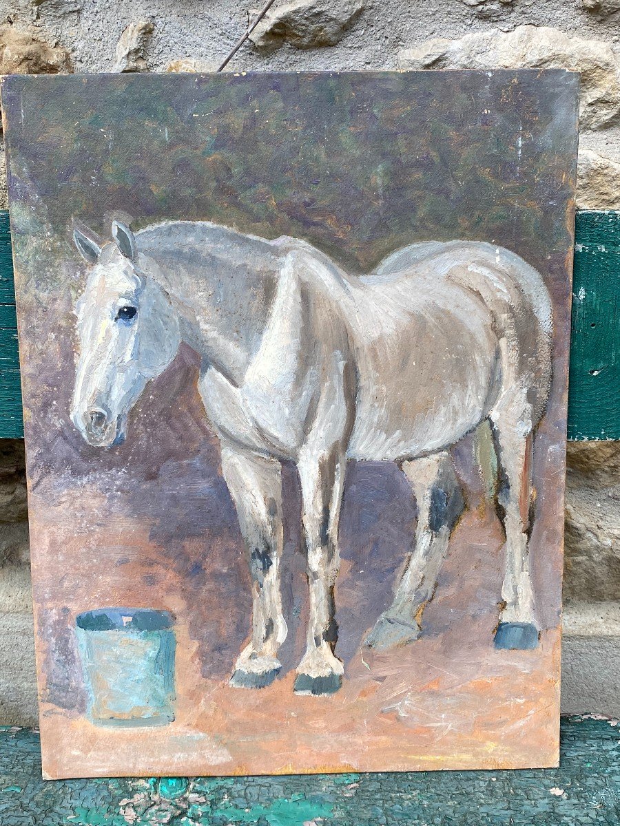 Study Of White Horse & End Of The XIXth Century & Oil On Cardboard-photo-4