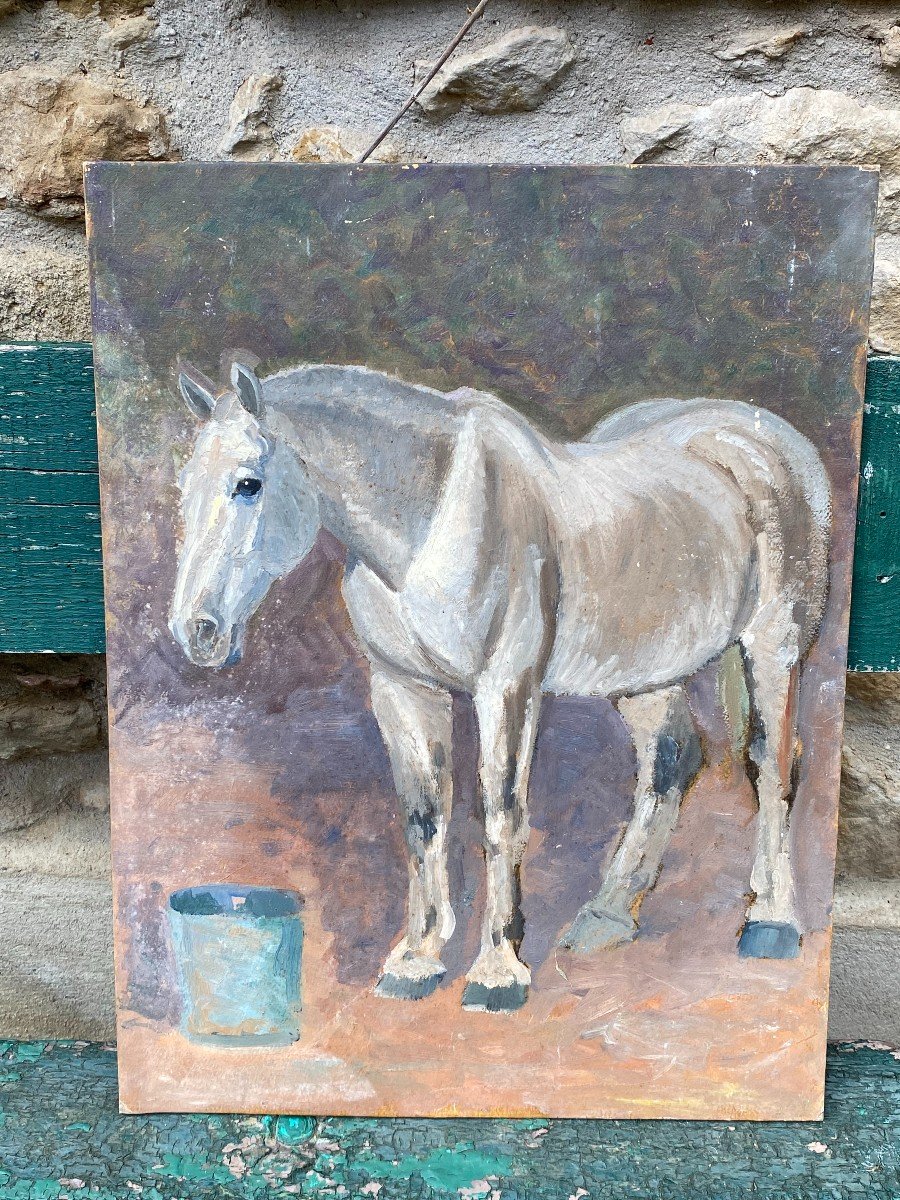 Study Of White Horse & End Of The XIXth Century & Oil On Cardboard-photo-2