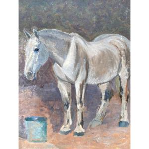 Study Of White Horse & End Of The XIXth Century & Oil On Cardboard