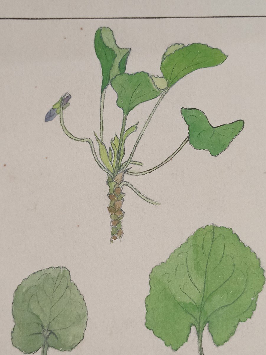 Watercolor Drawing By The Artist Edmond Alet, Art Nouveau Period Circa 1900-photo-2