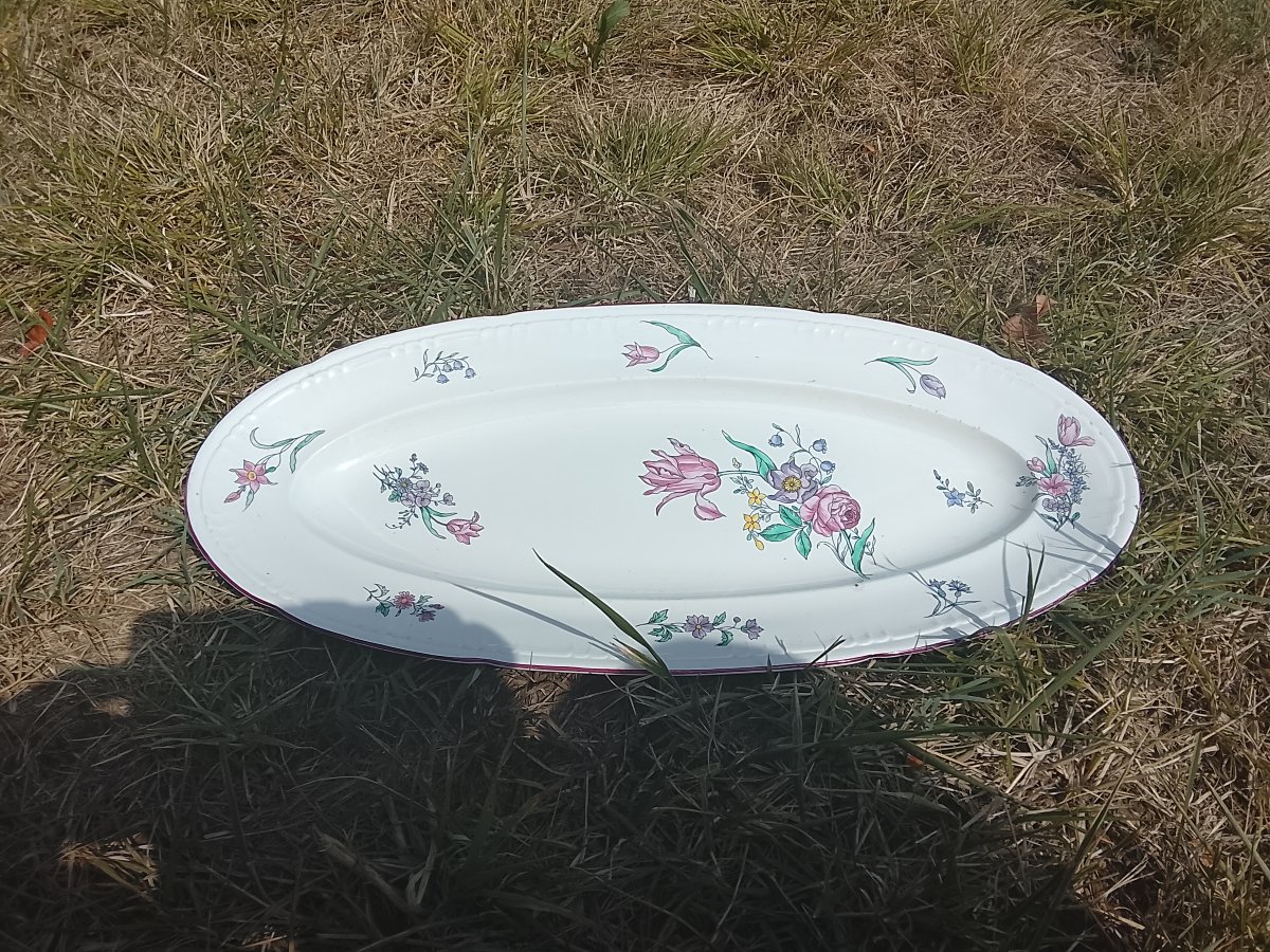 Vieillard Strasbourg-style Earthenware Fish Platter-photo-3