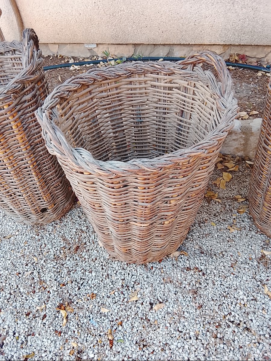 Suite de 5 paniers en osier à usage ancien agricole circa 1900-photo-3