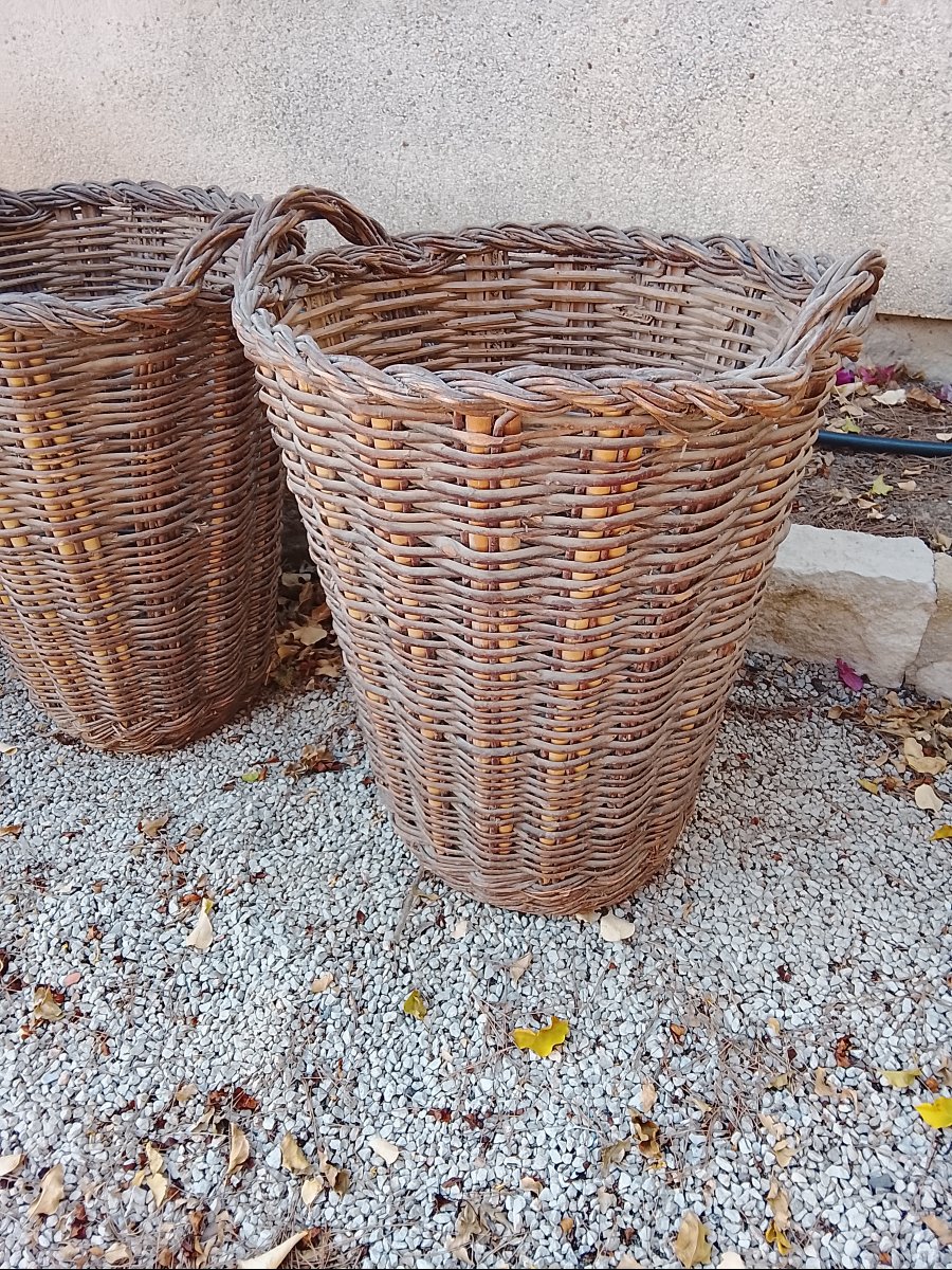 Suite de 5 paniers en osier à usage ancien agricole circa 1900