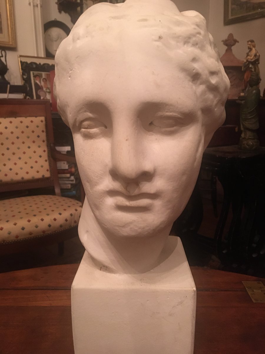 Beautiful Antique In Plaster For Fine Arts-photo-2