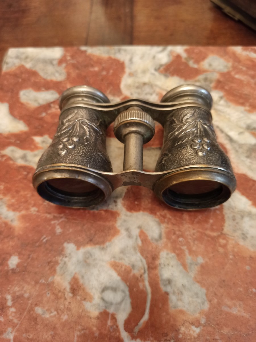 Pair Of Metal Theater Binoculars With Bird Decor Around 1900-photo-1