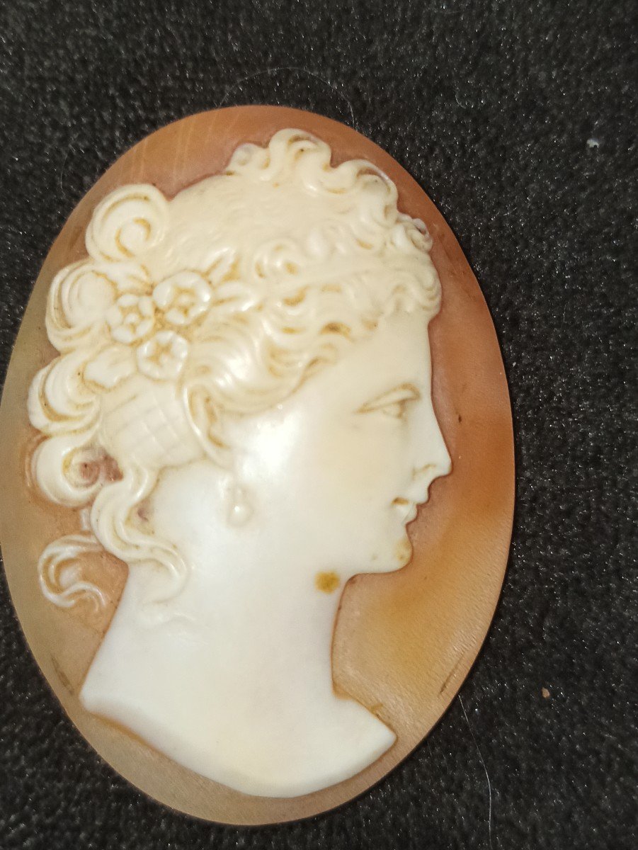 Shell Cameo In Profile Of Young Woman 1900-photo-2