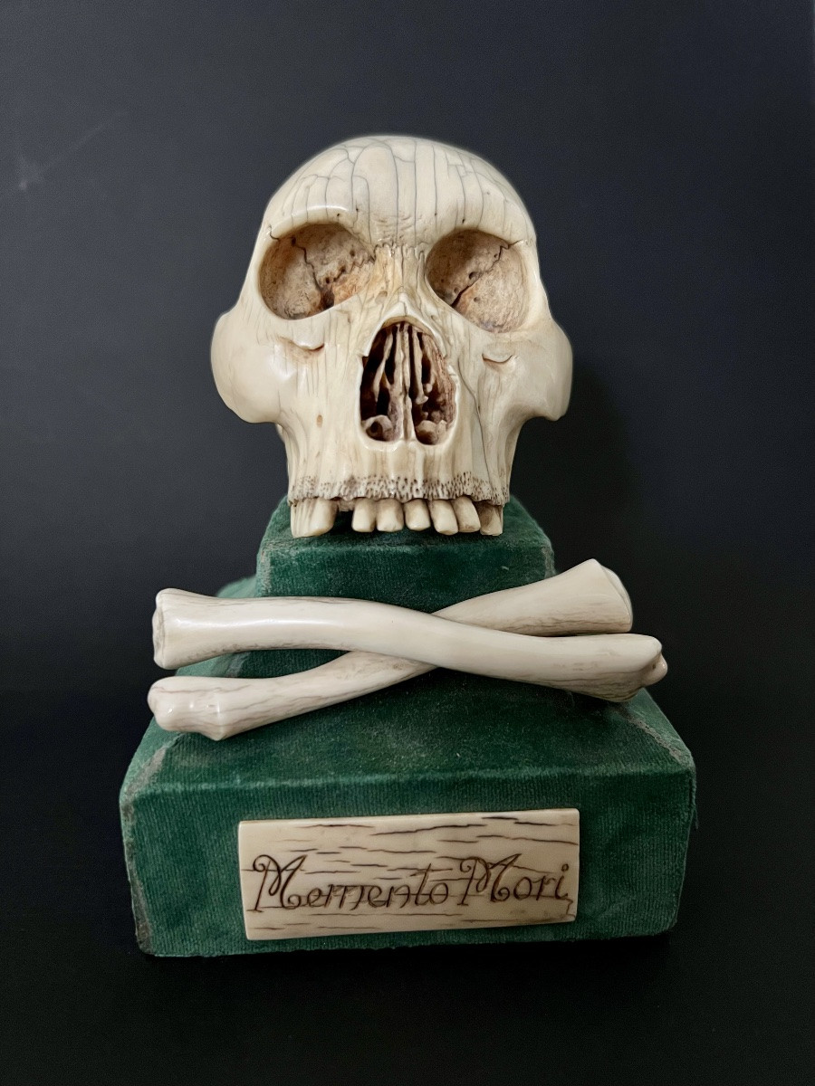 le-sanctuaire-des-curiosites-diapo-4