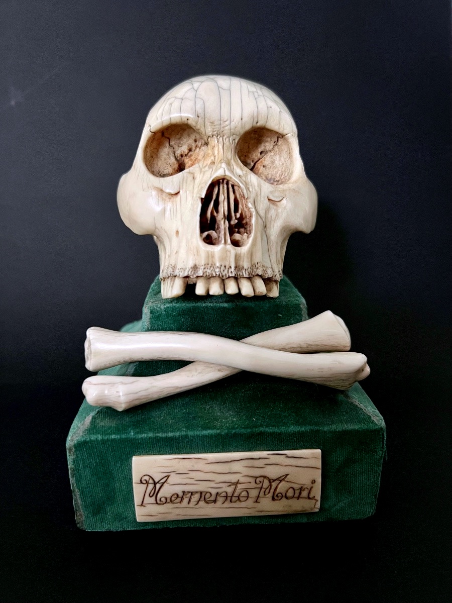 le-sanctuaire-des-curiosites-diapo-2