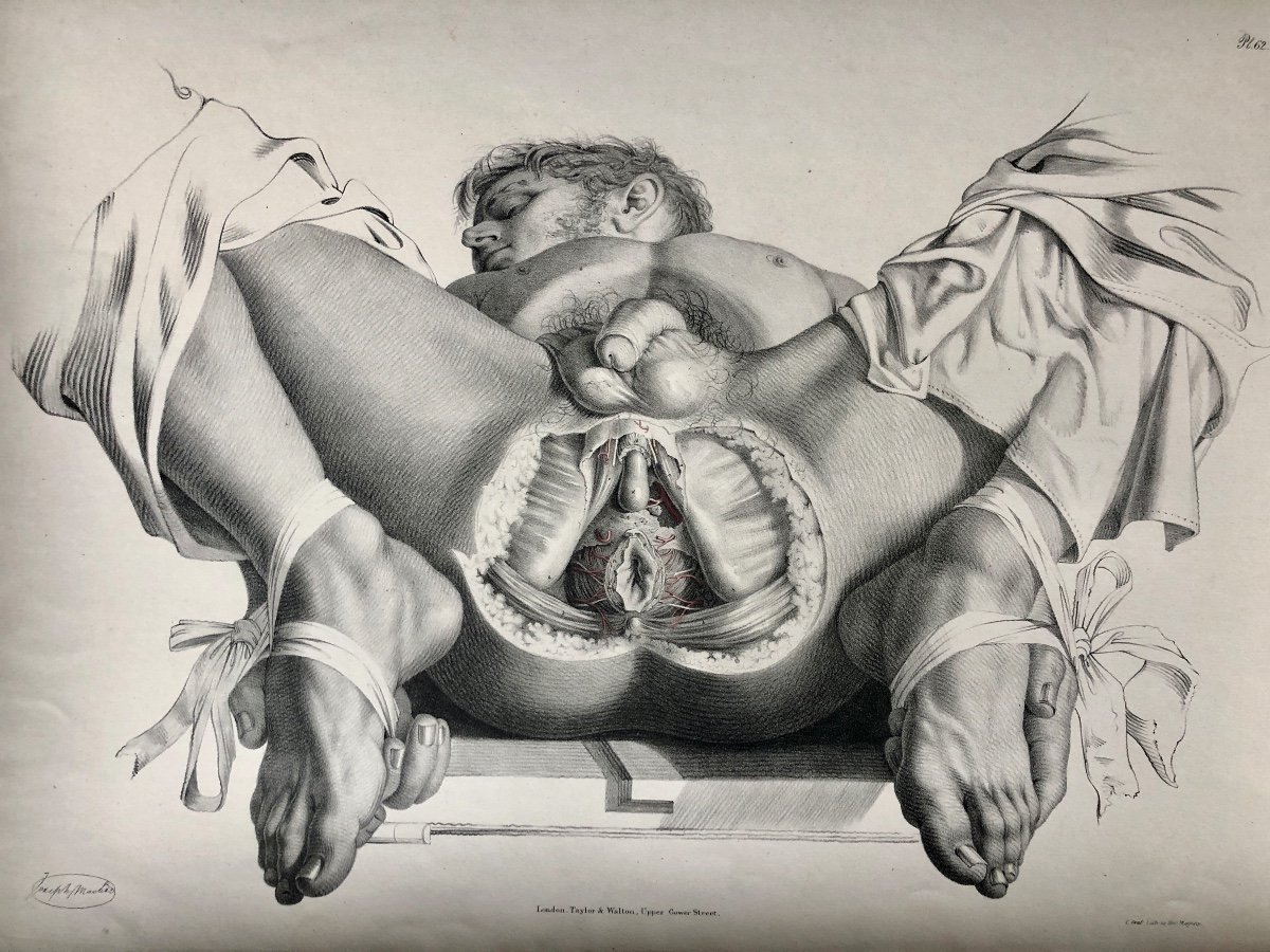 Grand Livre D’anatomie Humaine - Sir Richard Quain & Joseph Maclise (1844)-photo-7