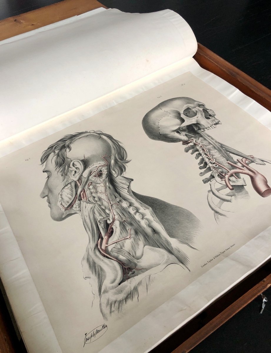 Grand Livre D’anatomie Humaine - Sir Richard Quain & Joseph Maclise (1844)