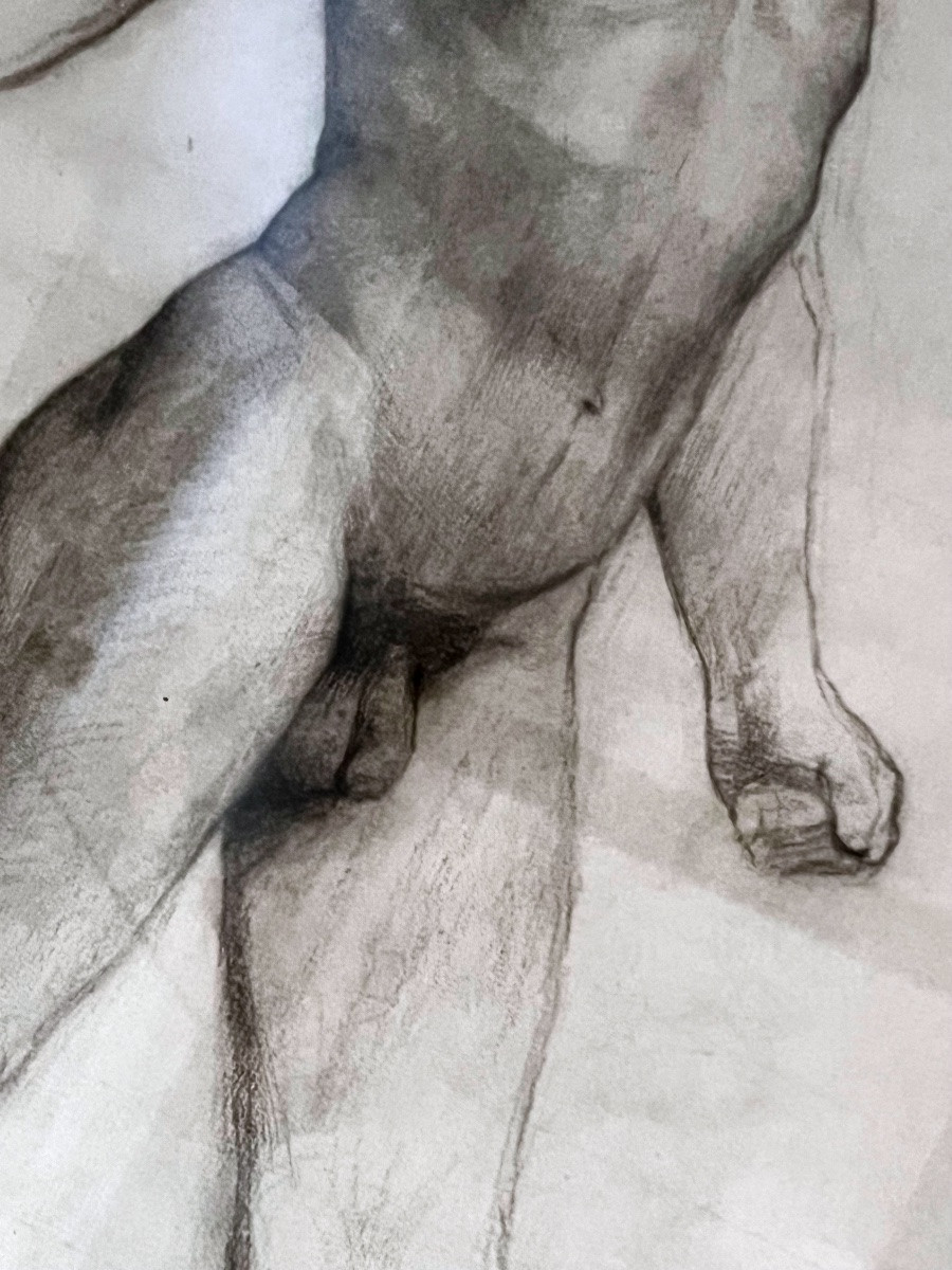 Academic Drawing From The Late 19th Century – Male Anatomical Study Signed R. Vercru.-photo-3