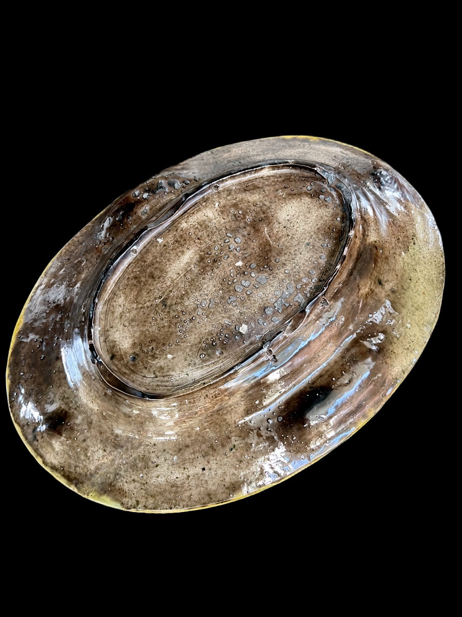 Large Oval Dish In Glazed Earthenware – School Of Bernard Palissy (19th Century)-photo-3