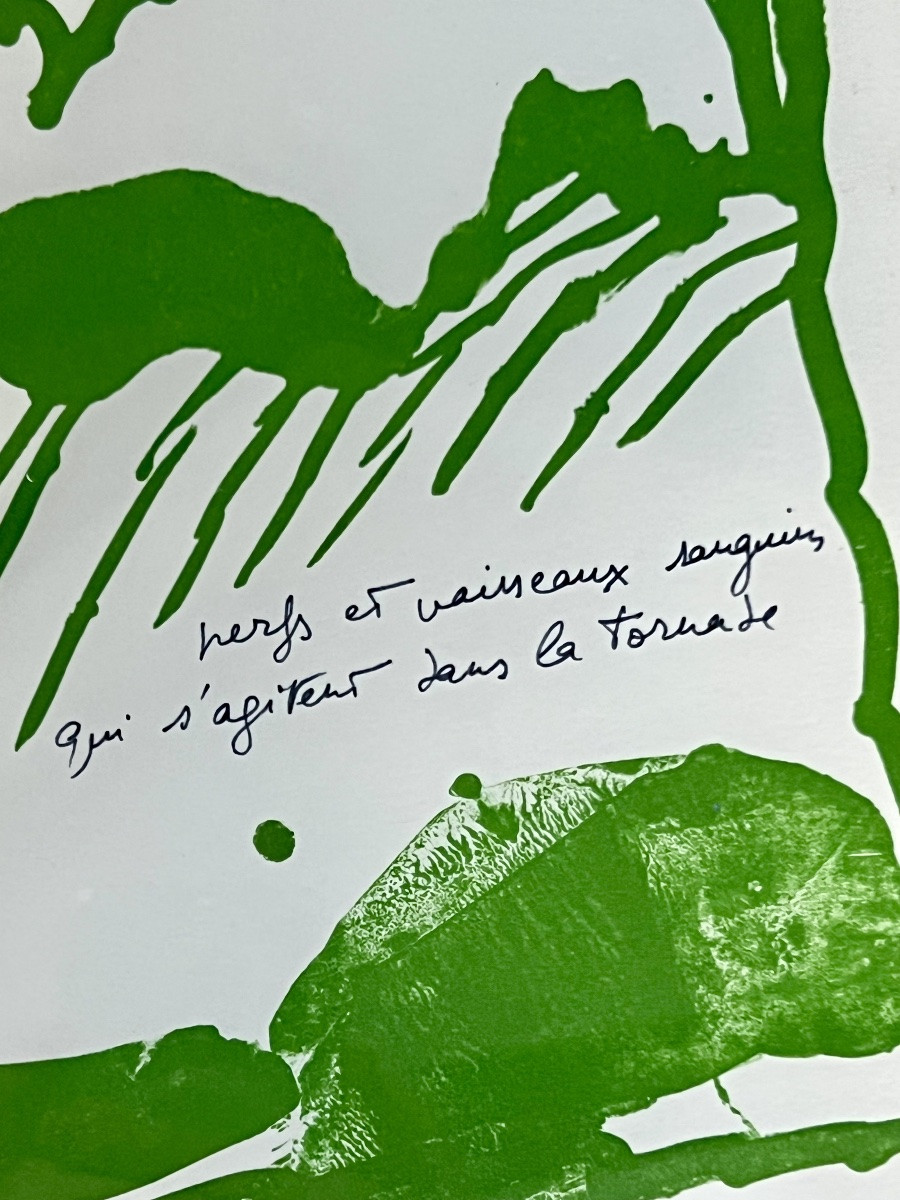 Pierre Alechinsky  Lithographie originale – Le rêve de l’ammonite -photo-5