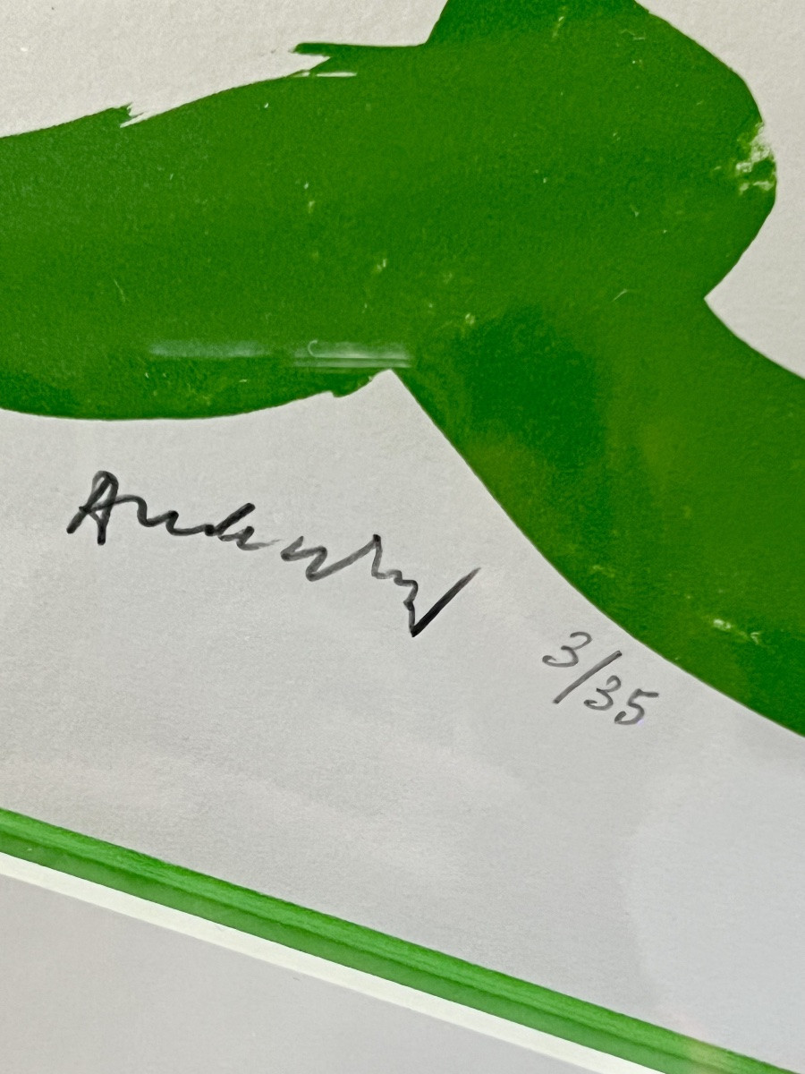 Pierre Alechinsky  Lithographie originale – Le rêve de l’ammonite -photo-7