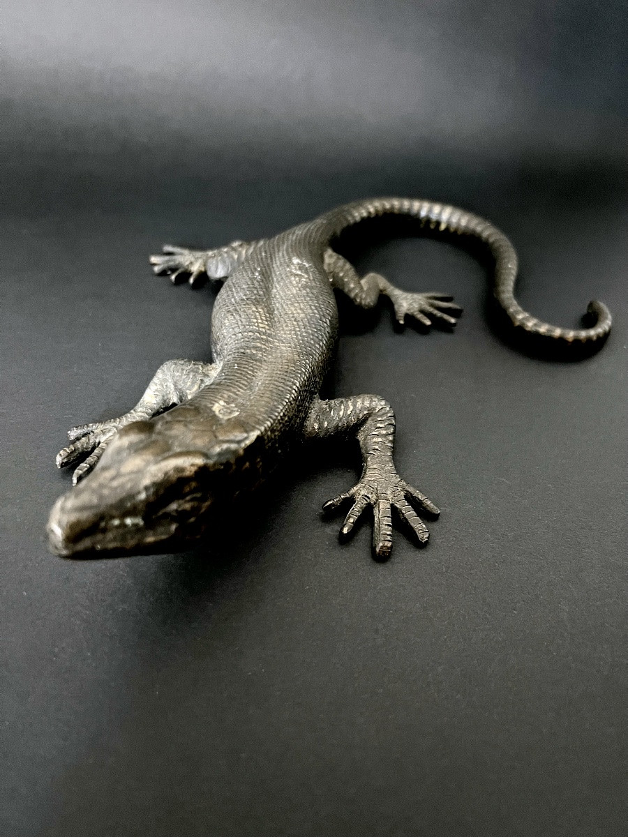 Salamandre en bronze patiné XIXè-photo-2