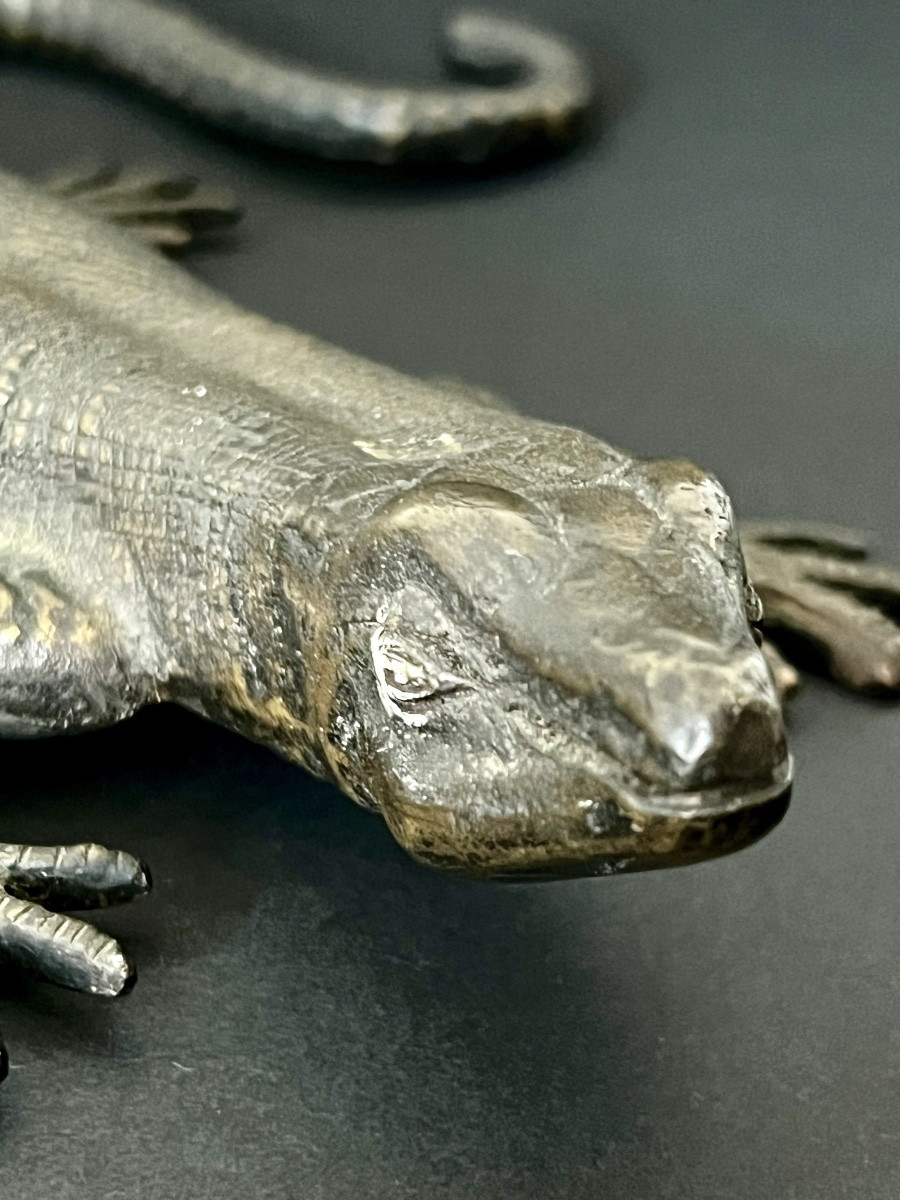 Salamandre en bronze patiné XIXè-photo-2