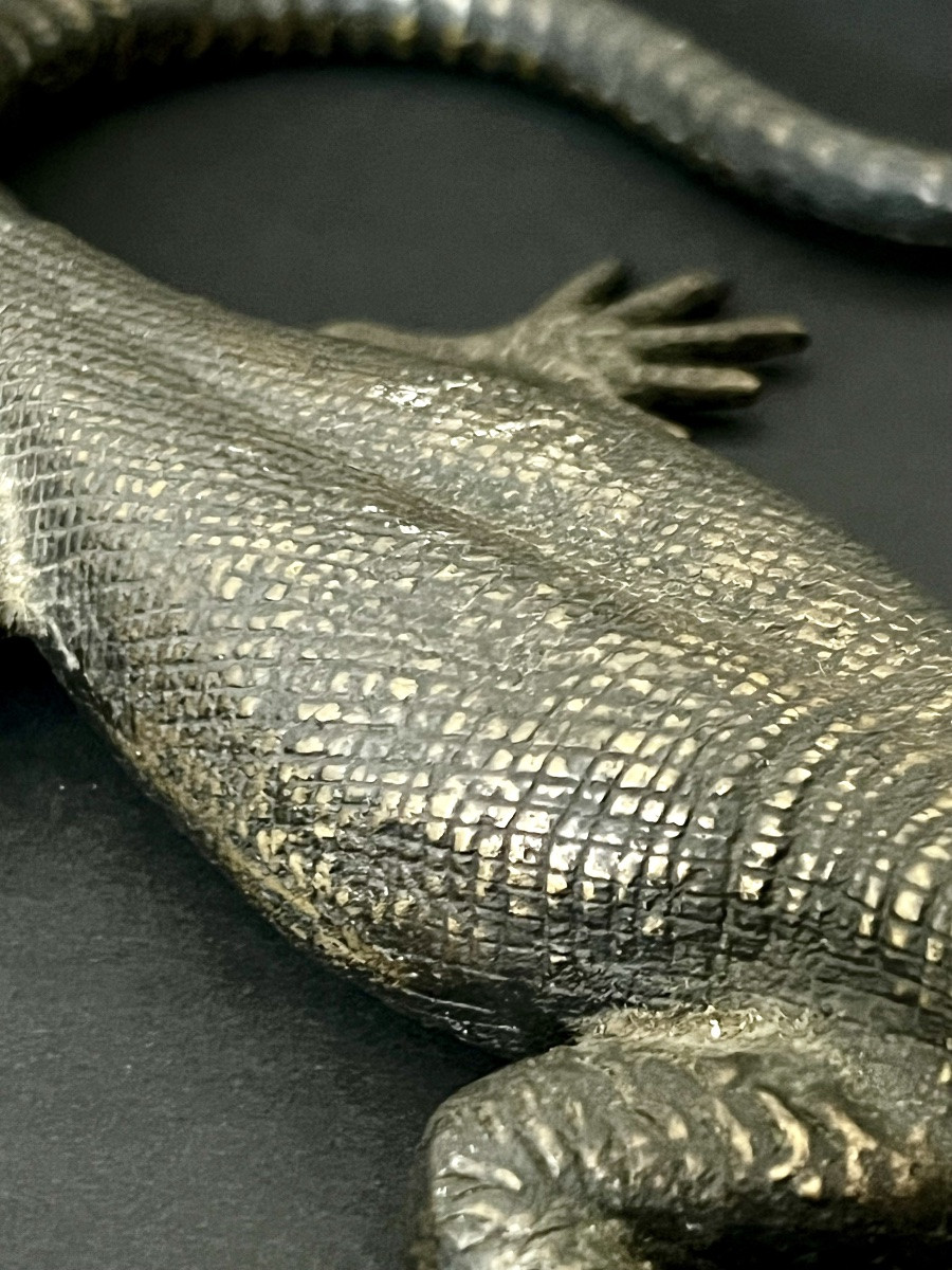 Salamandre en bronze patiné XIXè-photo-3