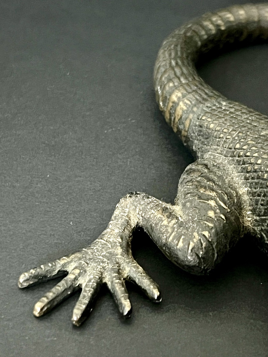 Salamandre en bronze patiné XIXè-photo-4