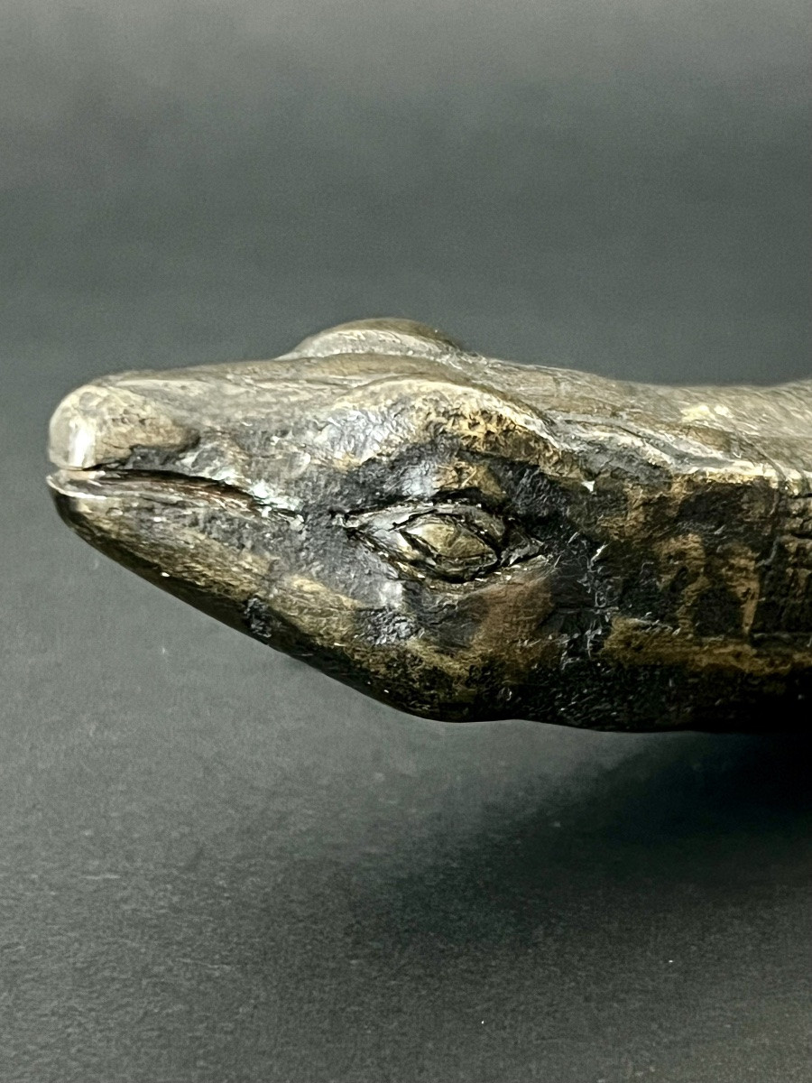 Salamandre en bronze patiné XIXè-photo-5