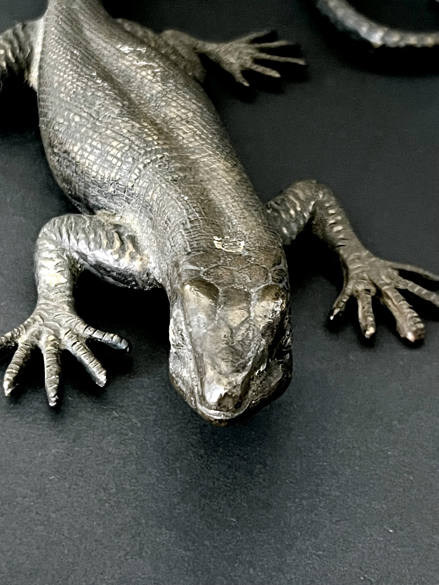 Salamandre en bronze patiné XIXè