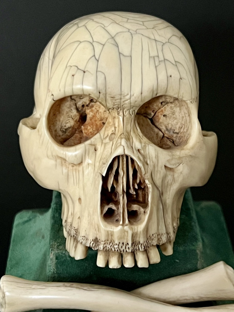 Crâne “Memento Mori” en ivoire sculpté – Espagne  XIXᵉ – avec CITES UE-photo-1