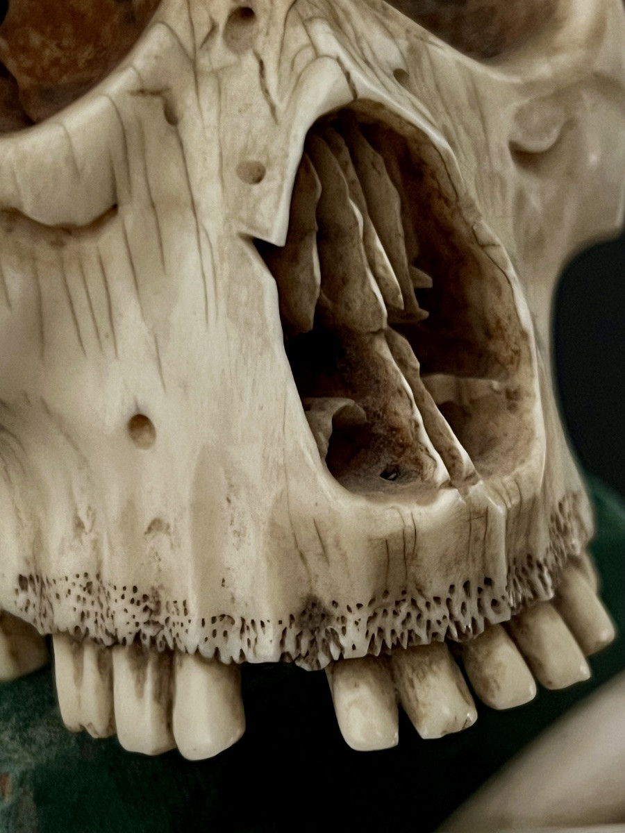 Crâne “Memento Mori” en ivoire sculpté – Espagne  XIXᵉ – avec CITES UE-photo-3