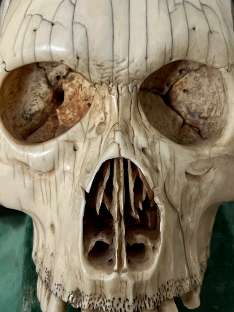 Crâne “Memento Mori” en ivoire sculpté – Espagne  XIXᵉ – avec CITES UE-photo-6