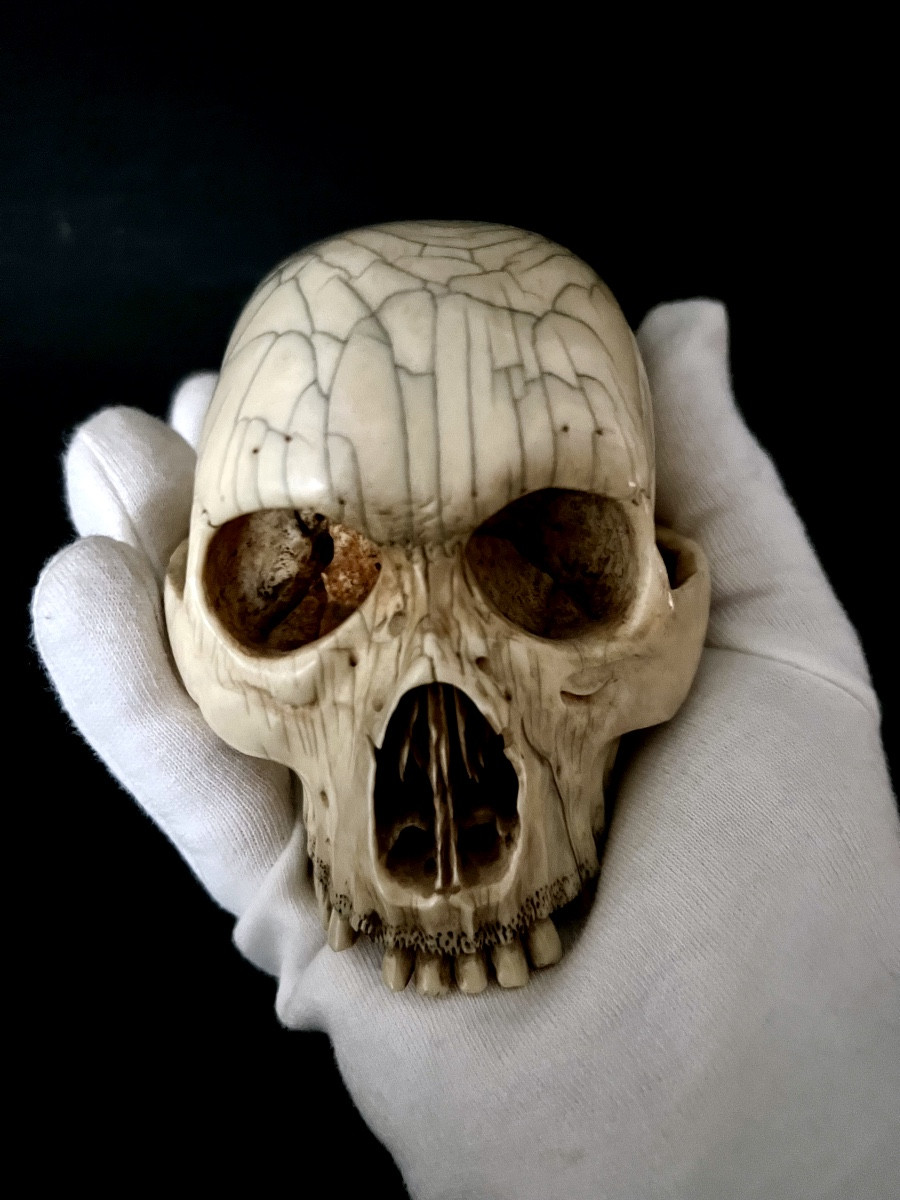 Crâne “Memento Mori” en ivoire sculpté – Espagne  XIXᵉ – avec CITES UE-photo-5