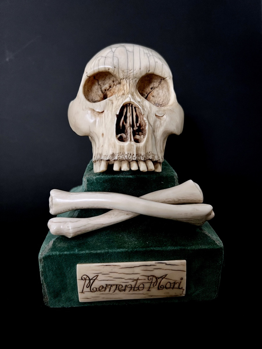 Crâne “Memento Mori” en ivoire sculpté – Espagne  XIXᵉ – avec CITES UE