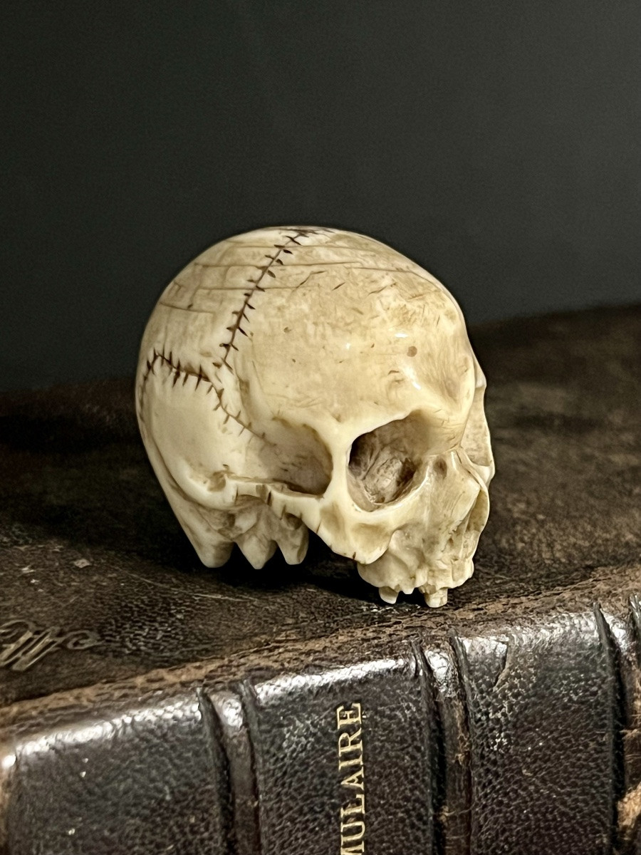  Skull Memento Mori In Antique Ivory – Central Europe , 18th/ Early 19th Century – Cites -photo-1