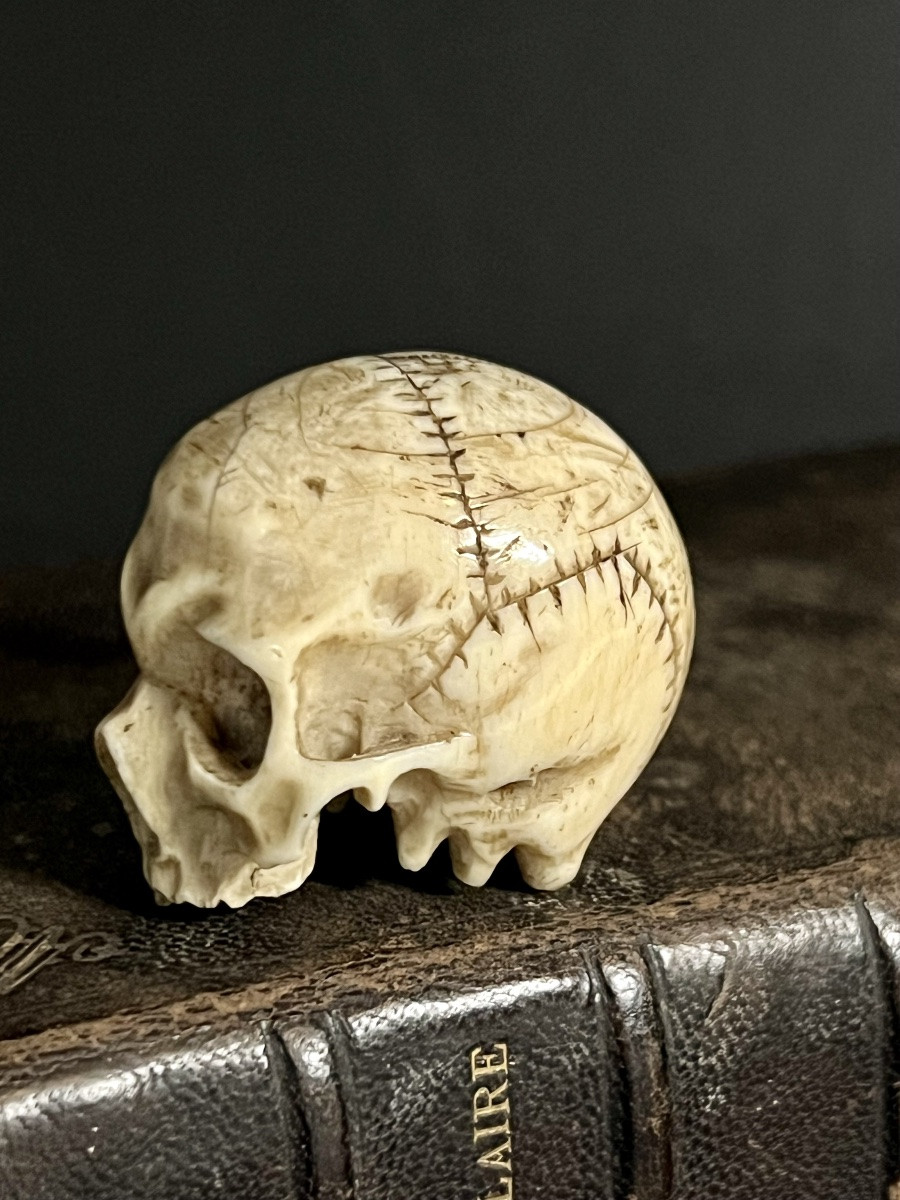  Skull Memento Mori In Antique Ivory – Central Europe , 18th/ Early 19th Century – Cites -photo-2