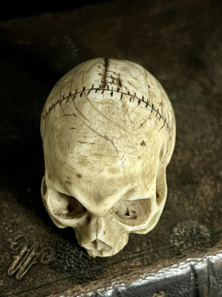  Skull Memento Mori In Antique Ivory – Central Europe , 18th/ Early 19th Century – Cites -photo-4