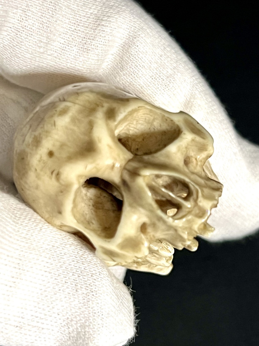  Skull Memento Mori In Antique Ivory – Central Europe , 18th/ Early 19th Century – Cites -photo-6
