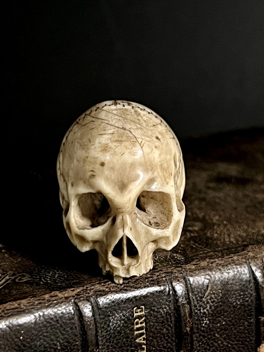  Skull Memento Mori In Antique Ivory – Central Europe , 18th/ Early 19th Century – Cites 