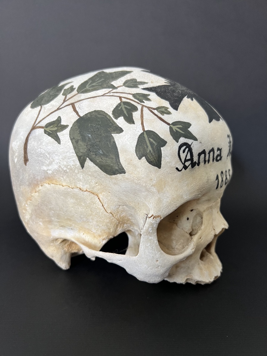Crâne humain peint – Mémento Mori – daté 1885-photo-2