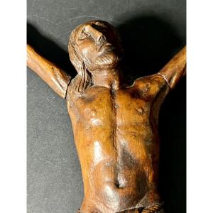 Christ En Croix en Bois De Sainte Lucie - Bois De Bagard - Circa 1700 - Fin du XVIIe - France