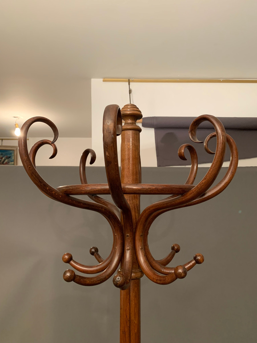 Porte-Manteau Perroquet « THONET »-photo-3