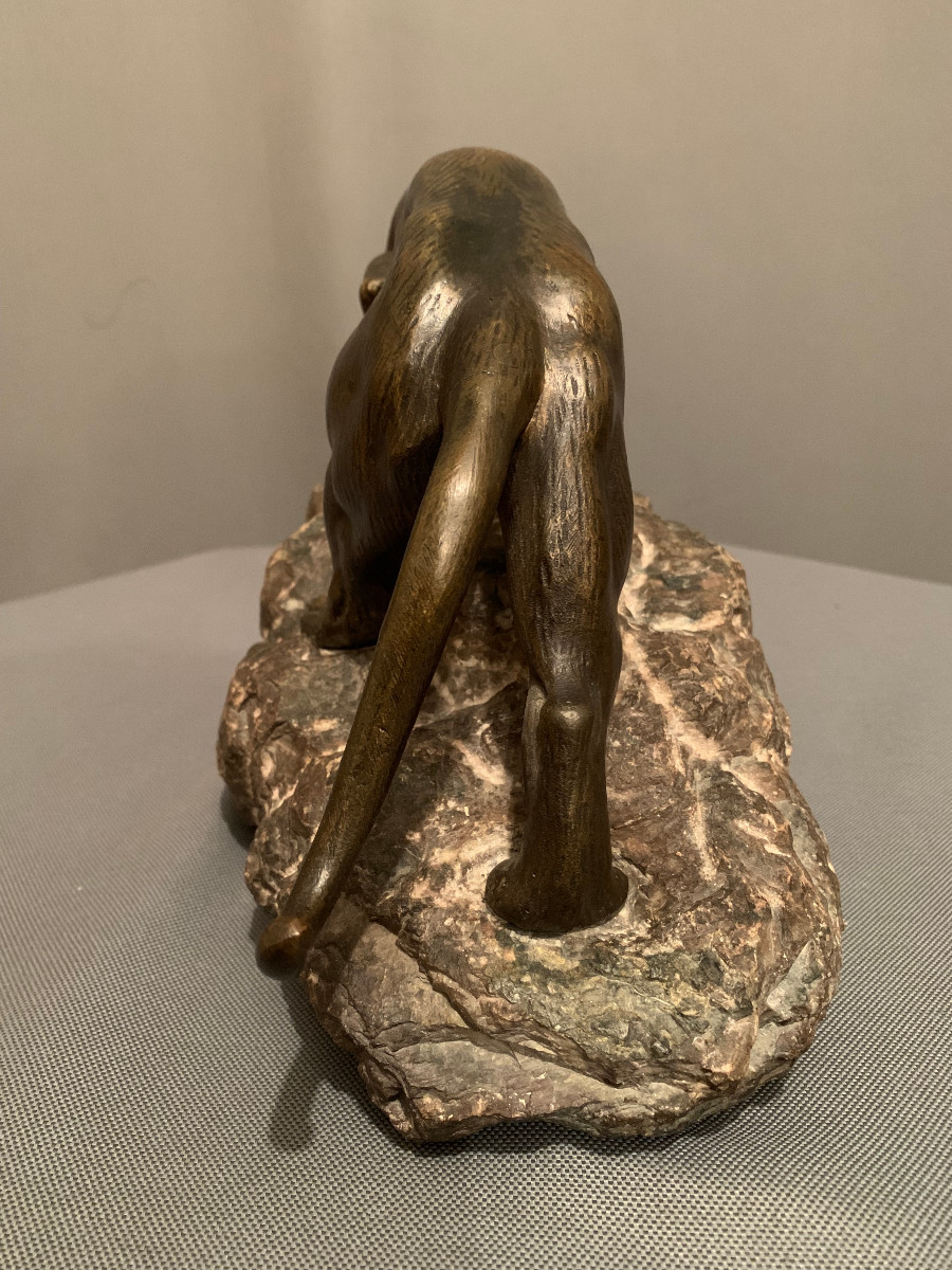 Tigre En Bronze De « James ANDREY » (XIXéme-XXéme siècle)-photo-3