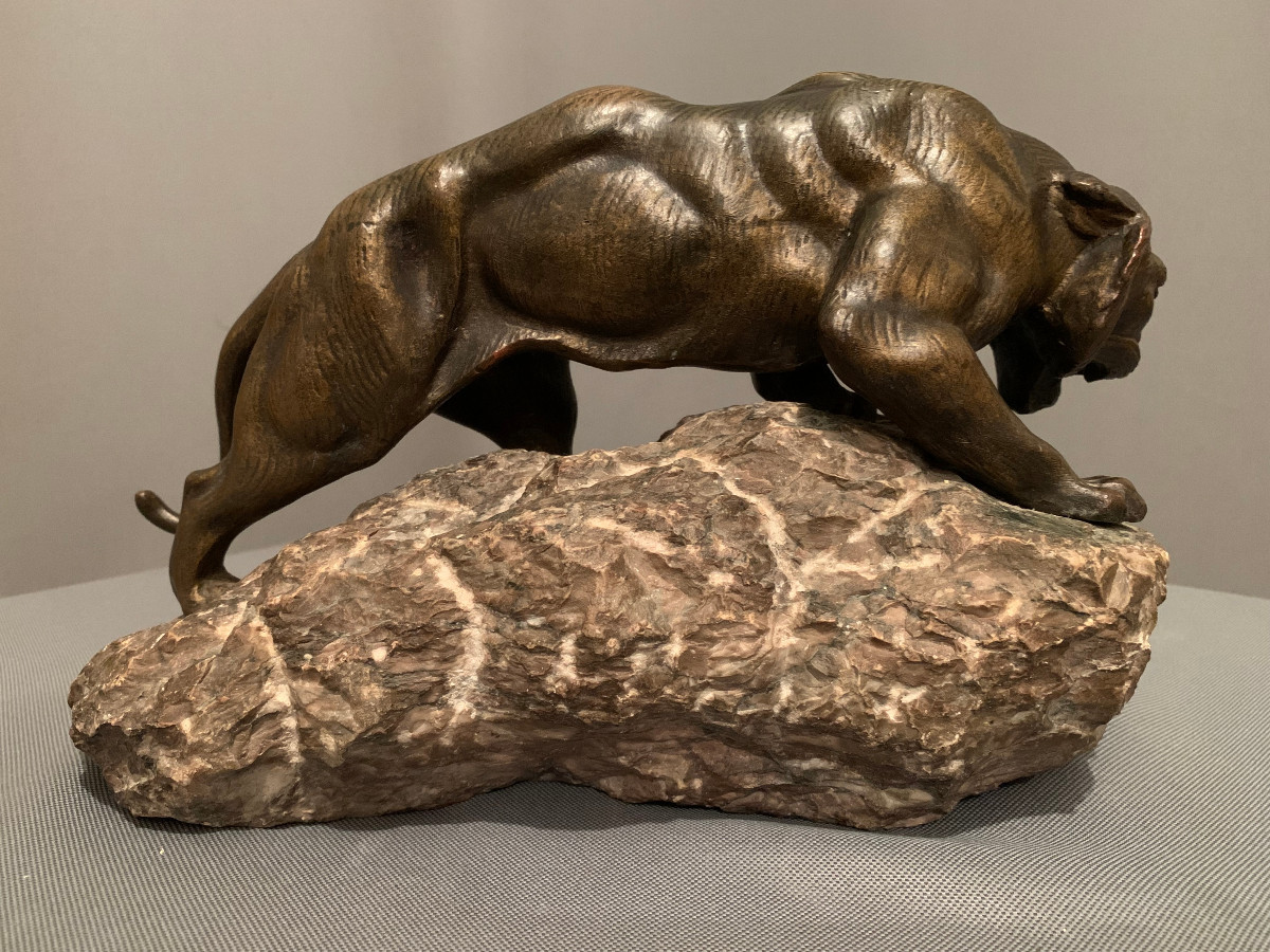 Tigre En Bronze De « James ANDREY » (XIXéme-XXéme siècle)-photo-1