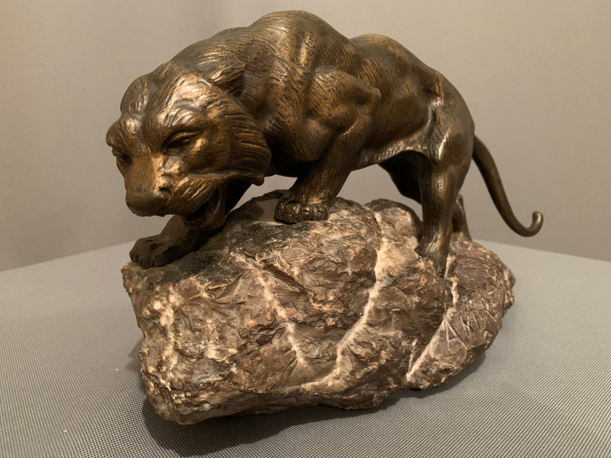 Tigre En Bronze De « James ANDREY » (XIXéme-XXéme siècle)-photo-4