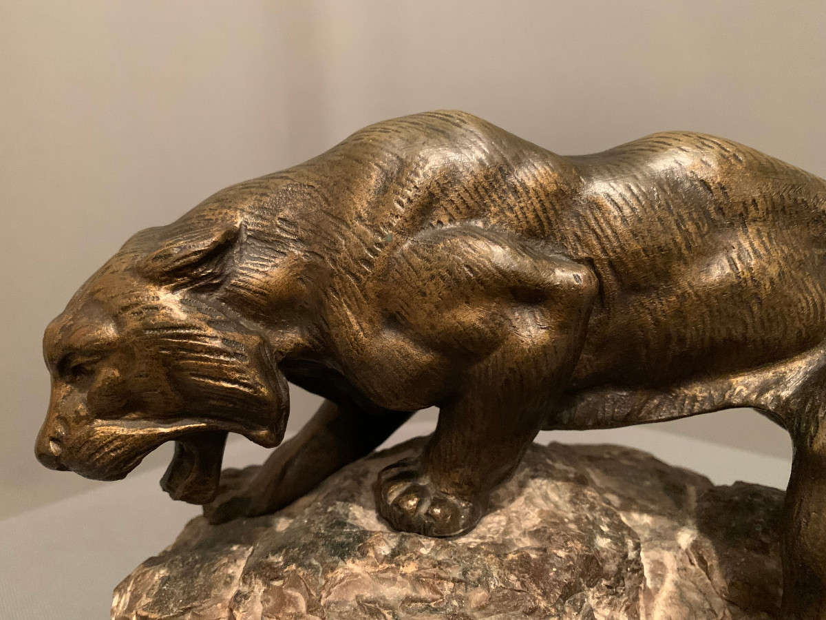 Tigre En Bronze De « James ANDREY » (XIXéme-XXéme siècle)-photo-5