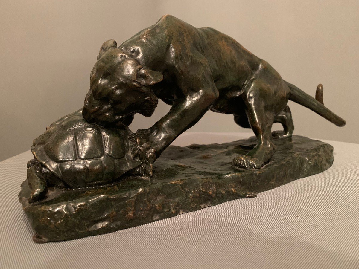 Bronze de Georges Gardet (1863-1939) -Le Tigre et La Tortue--photo-2