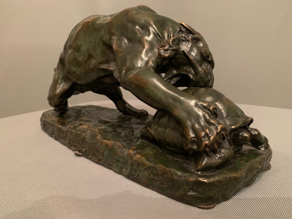 Bronze de Georges Gardet (1863-1939) -Le Tigre et La Tortue--photo-1