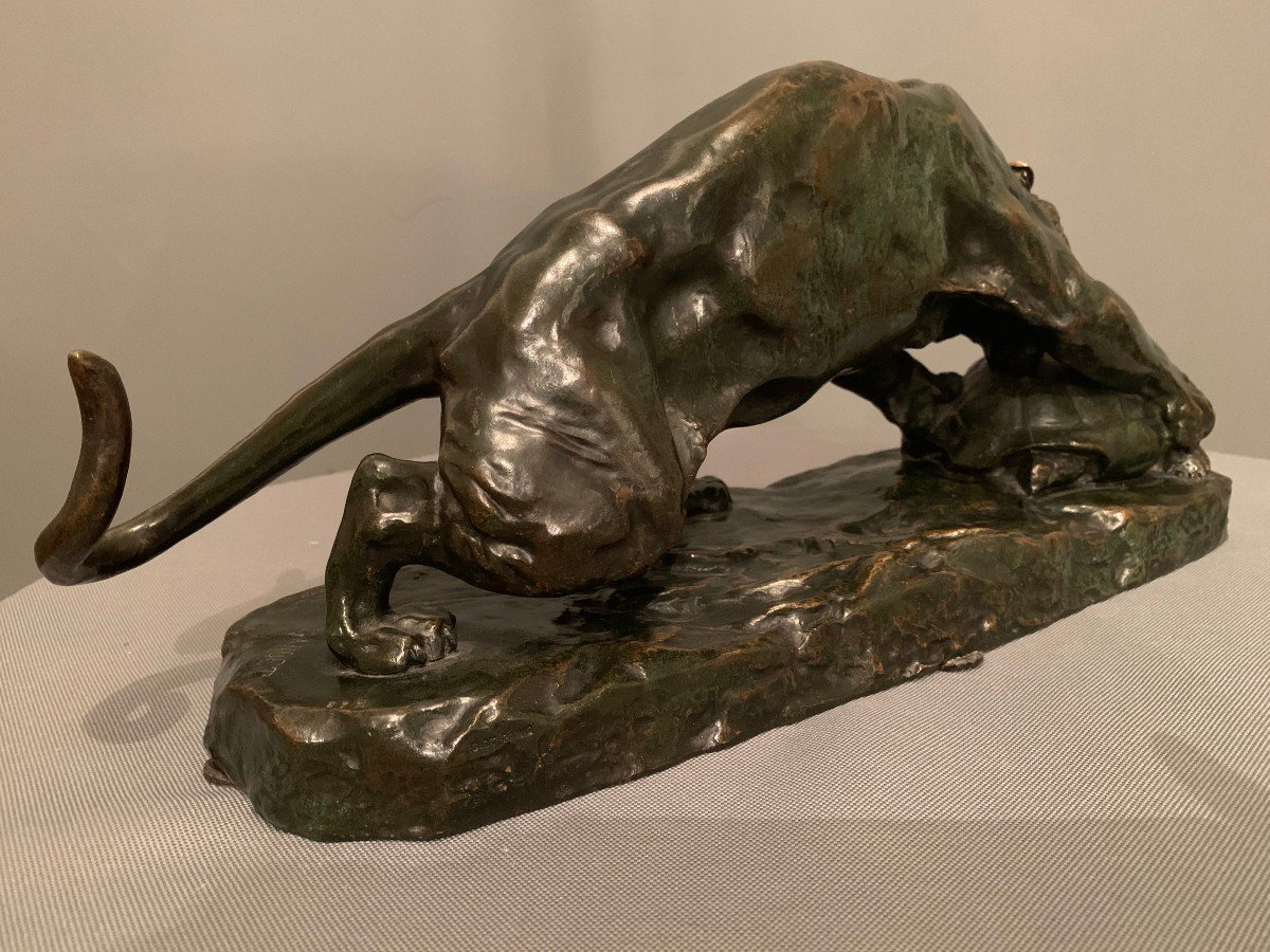 Bronze de Georges Gardet (1863-1939) -Le Tigre et La Tortue--photo-2