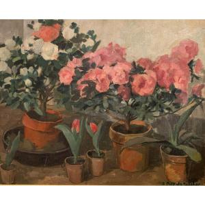 Pots Of Dahlias- Suzanne Rey De Jaegher