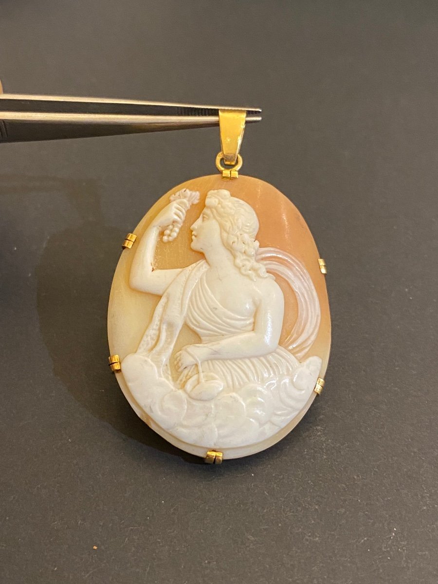 Gold Pendant And Shell Camee-photo-2