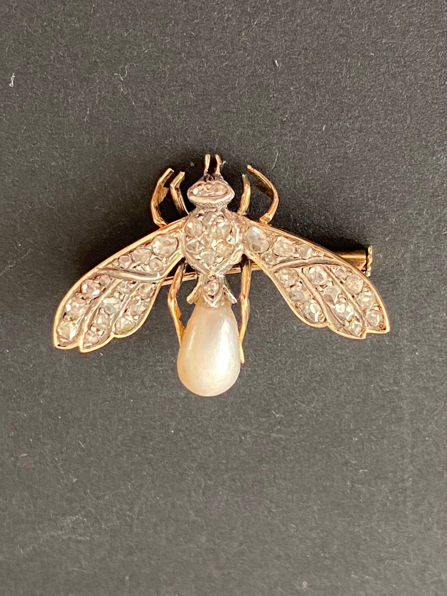 19th Century, Gold Bee Brooch, Fine Pearl And Diamonds -photo-1