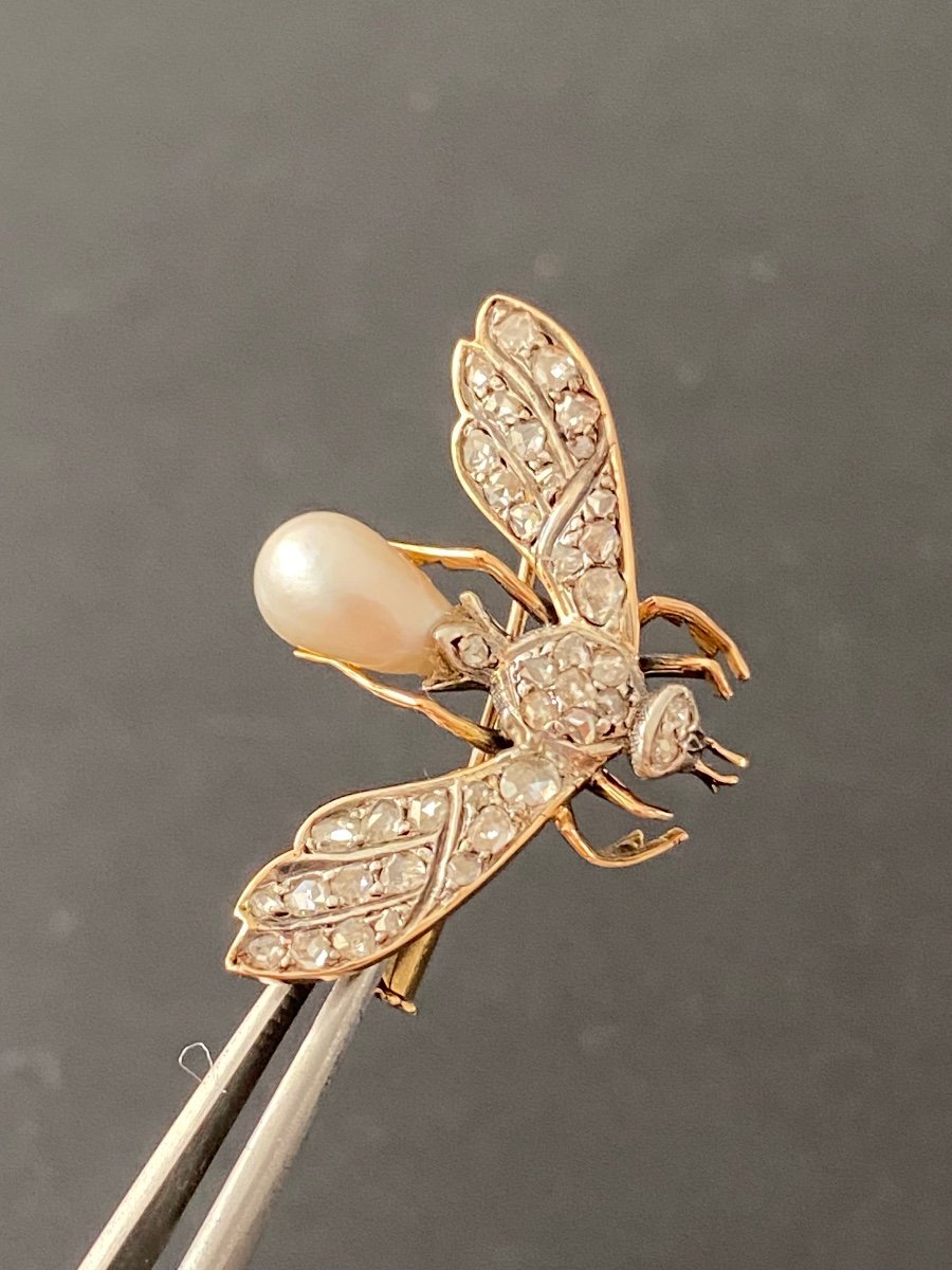 19th Century, Gold Bee Brooch, Fine Pearl And Diamonds -photo-8
