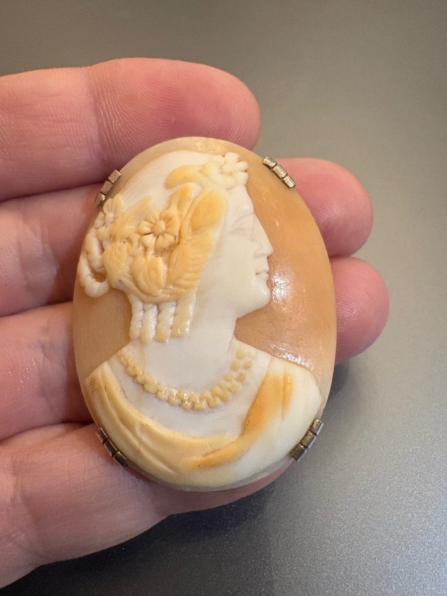Antique Silver Brooch With Shell Cameo-photo-4